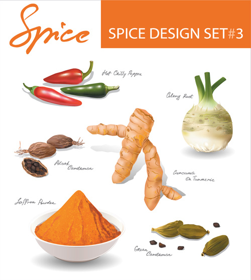 conjunto de diferentes spice design vetor 2