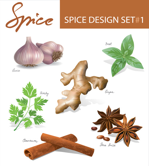 conjunto de diferentes spice design vetor 3