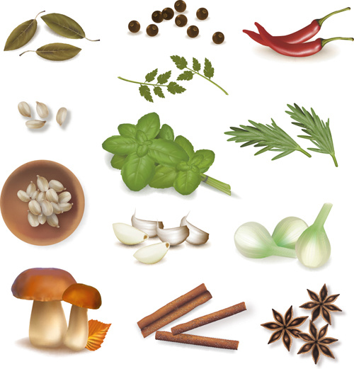 Set Of Different Spice Design Vector  No.339679