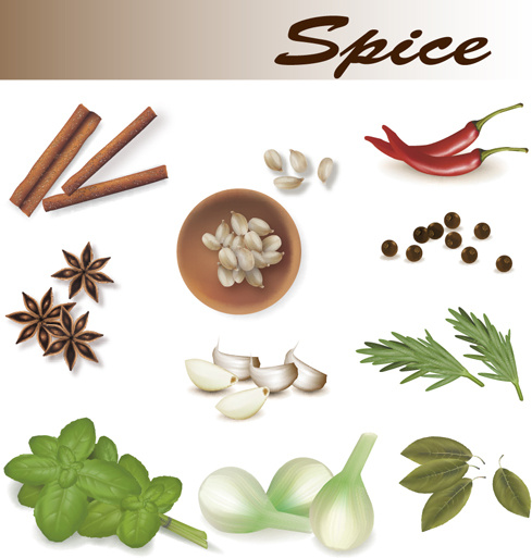 Set Of Different Spice Design Vector  No.339693