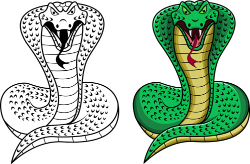 serie di serpente anno nuovo disegno vettoriale