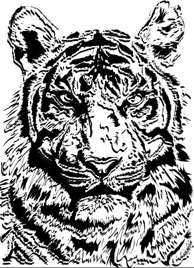 insieme di arte foto di tigre vettoriale