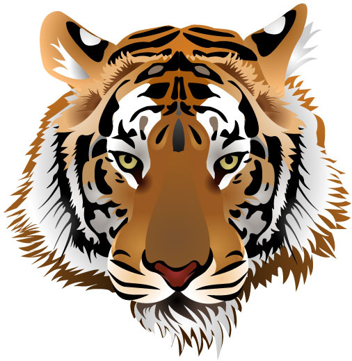 набор Тигр векторных искусства изображение