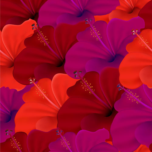 花の要素の背景のベクトルのセット