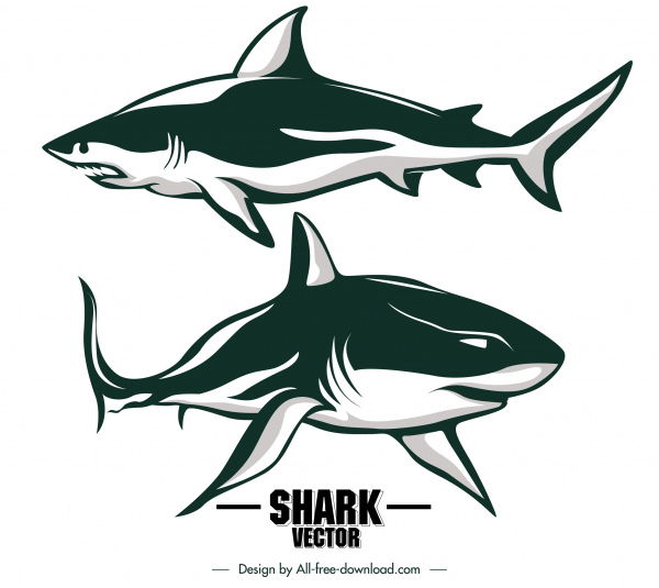 ícones de tubarão esboço clássico desenhado à mão