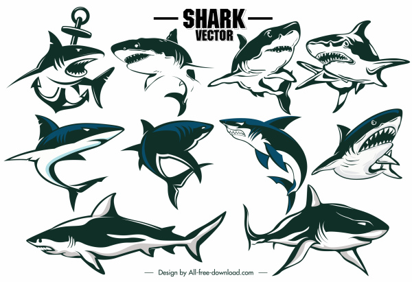 ícones de tubarão contorno dinâmico desenhado à mão