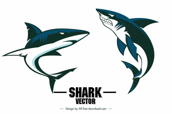 iconos de tiburones boceto dinámico de natación