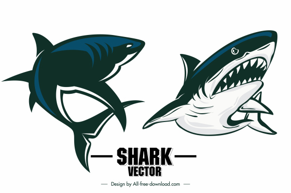 ícones de tubarão assustador design dinâmico esboço