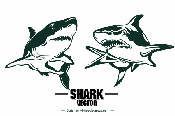 ícones de tubarão desenhado à mão design clássico