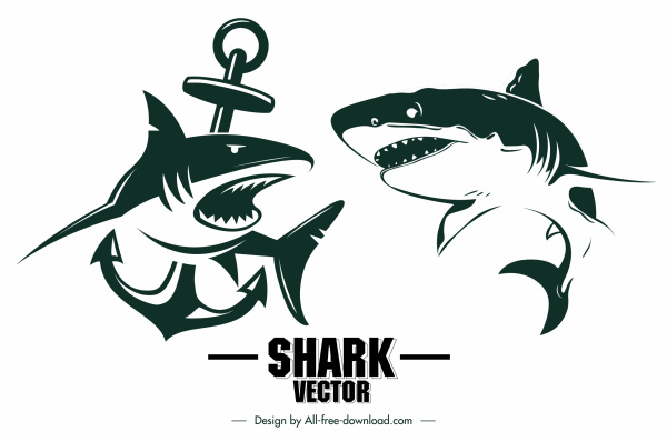 köpekbalığı dövme simgeleri dinamik eskiz