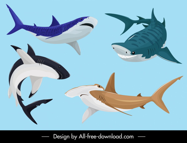 os tubarões ícones movimento esboço projeto dos desenhos animados