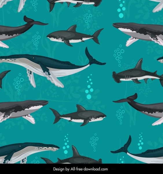 padrão de baleias tubarões natação espécies esboço