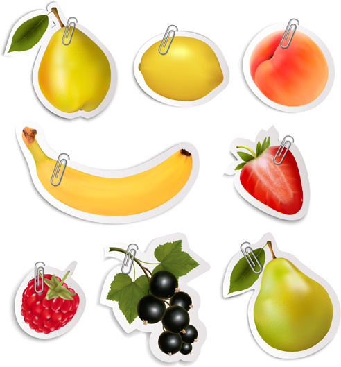 glänzende Früchte Aufkleber Vektor Satzgrafik