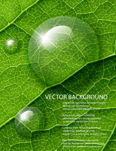 daun hijau mengkilap latar belakang desain vektor