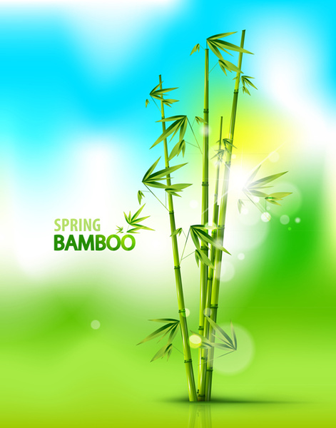 Bambú brillante primavera vector background