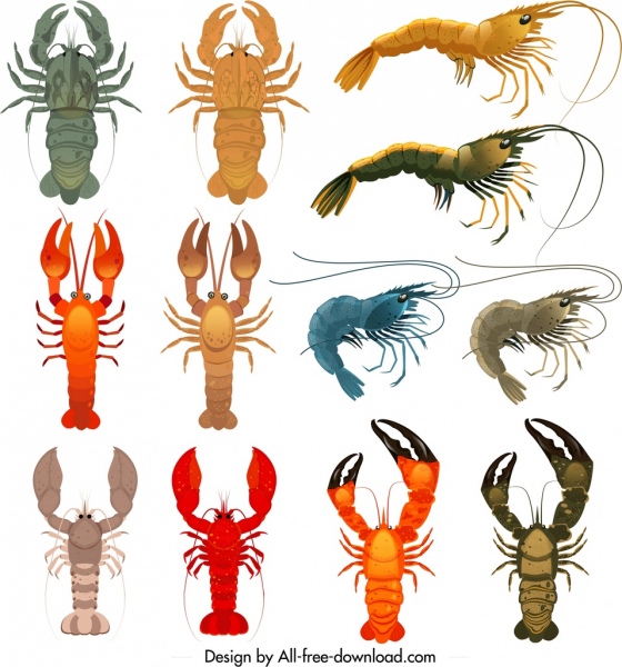 coleção de ícones de camarão esboço de formas coloridas