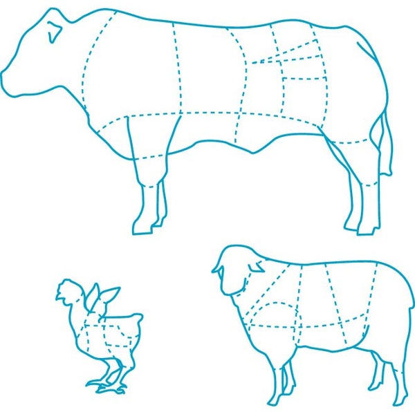 Silhouette Bull Sketch Vector