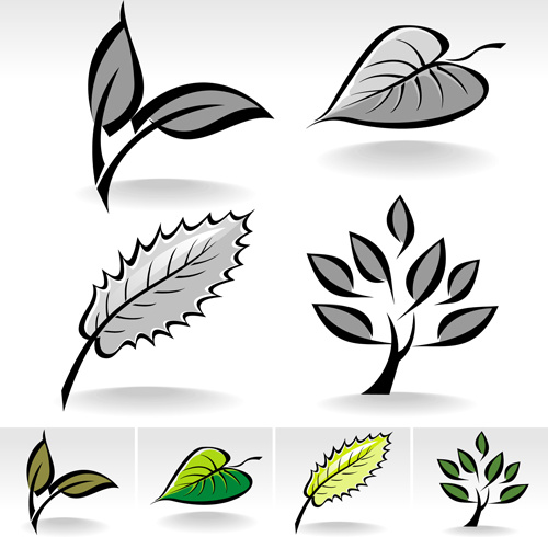набор простых листьев творческий вектор