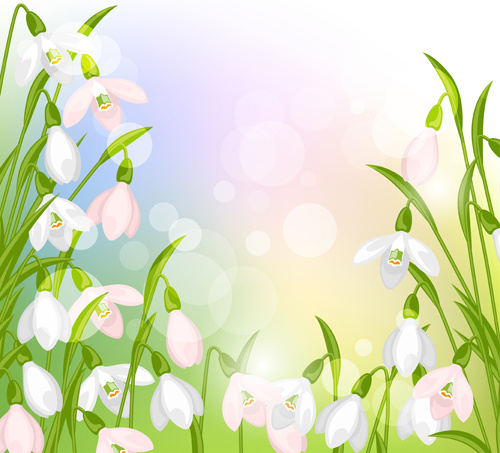 Schneeglöckchen Blüten mit glänzenden Hintergrund Vektor