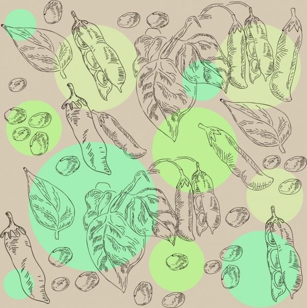 feuilles de soja handdrawn noix sketch de fond icônes