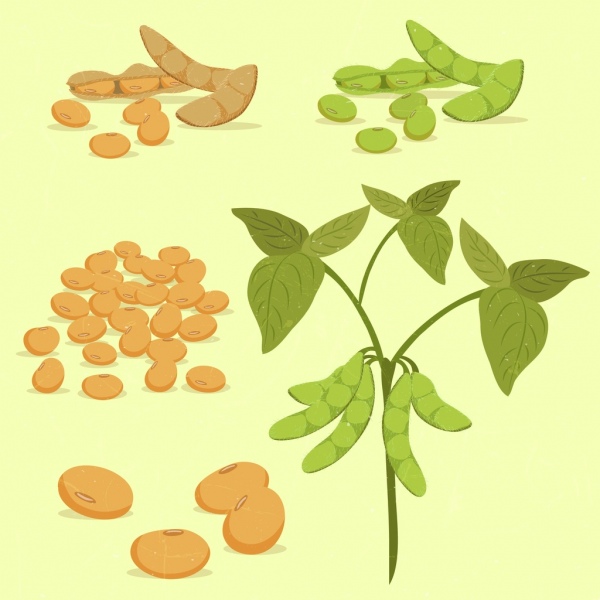 les éléments de conception de soja pois ou icônes colorées