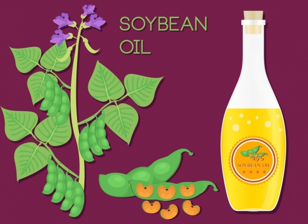 huile de soja légume vert bouteille de verre ou icônes