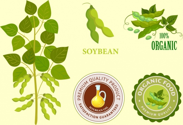 identidade de produtos de soja define ícones de logotipos de selo de árvore