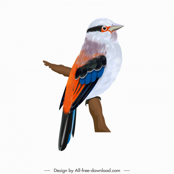 Sparrow burung ikon berwarna-warni cute desain bertengger sketsa