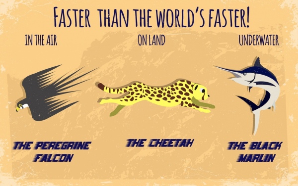 kecepatan konsep latar belakang falcon cheetah marlin ikon isolasi