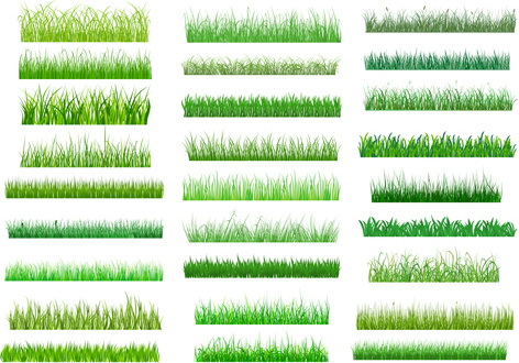 Spring Grass Borders Vector Set 3