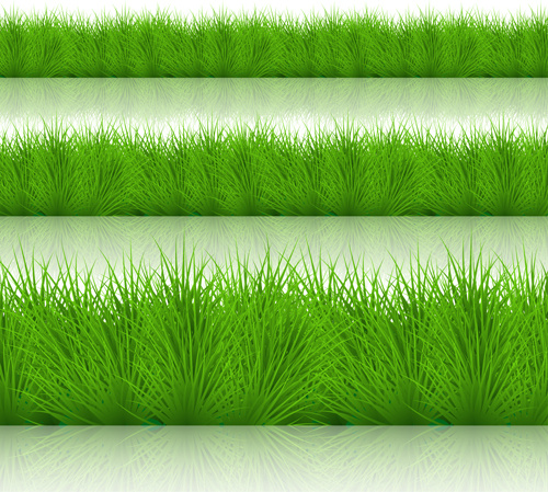 Spring Grass Borders Vector Set 4
