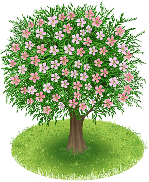 gráfico de vetor de desenho de árvore verde Primavera