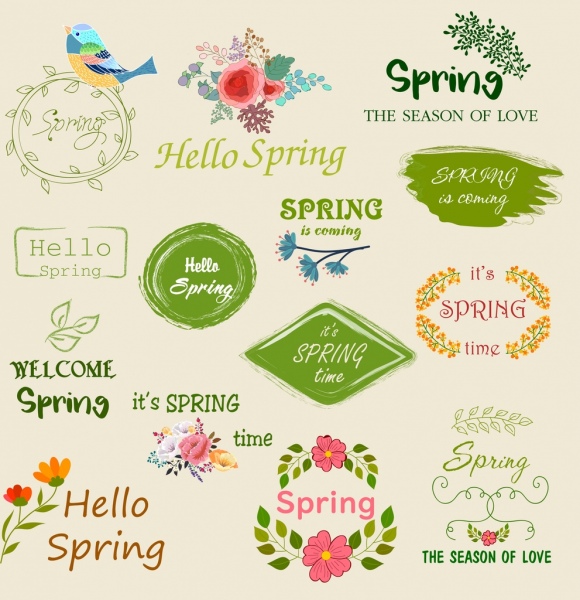 春のロゴタイプ、鳥、花、テキスト、装飾