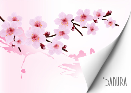 Vektorgrafiken Hintergrund Frühling rosa Blume