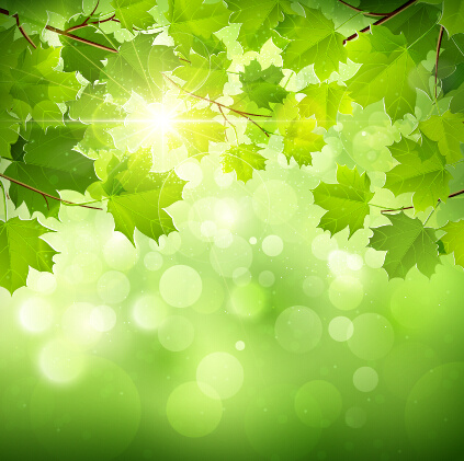春の陽射しと緑の葉の背景ベクトル