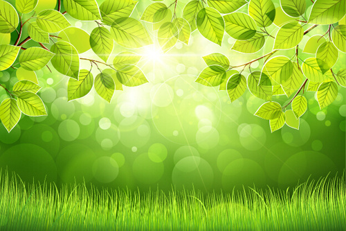 春の陽射しと緑の葉の背景ベクトル