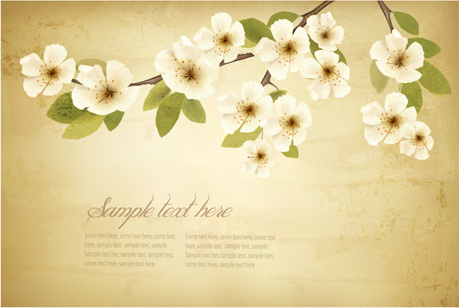 weiße Blumen mit Vintage-Hintergrund