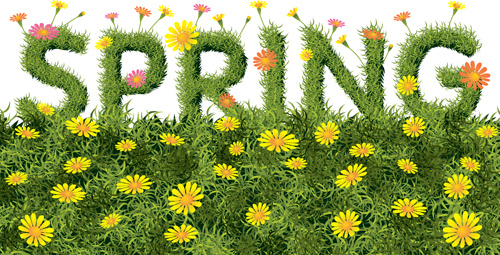 Spring Yellow Flowers Art Background