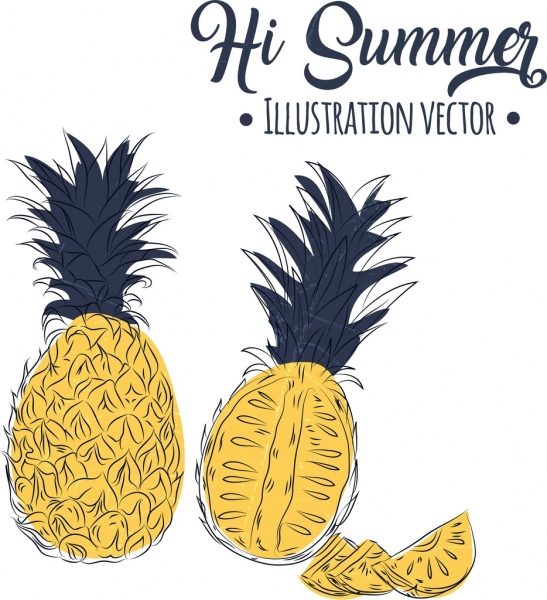 Diseño de iconos handdrawn verano banner piña