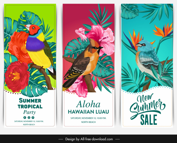 Modèles de bannière d’été oiseaux colorés décor floral