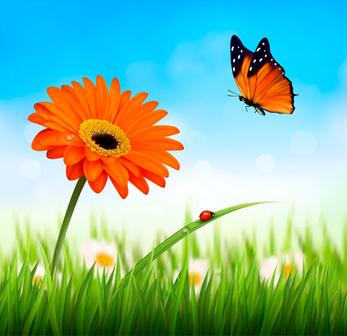 hierba del verano con flores y mariposa vector de fondo