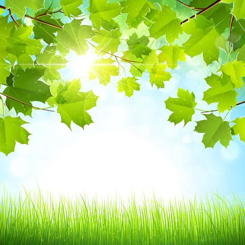 güneş ışığı vektör arka plan ile yaz yeşil yaprakları