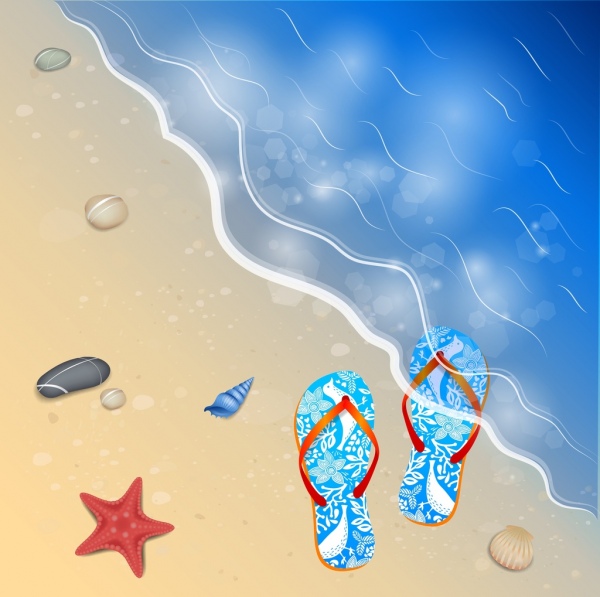 ปลาดาวรองเท้าพื้นหลังทะเลฤดูร้อนเปลือกเครื่องประดับ
