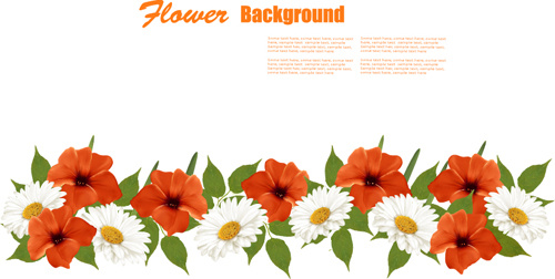 Sommerblumen weißen und orangefarbenen Hintergrund Vektor