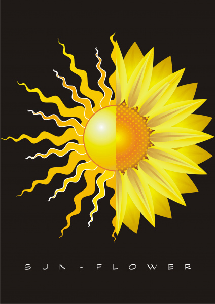 güneş çiçeği