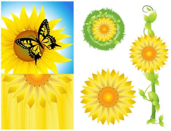 grafis vektor latar belakang bunga matahari