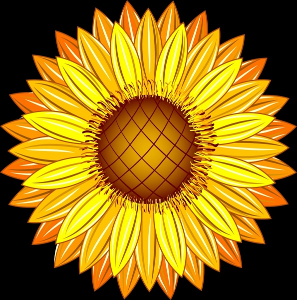 Sunflower ikon closeup desain mengkilap kuning dekorasi