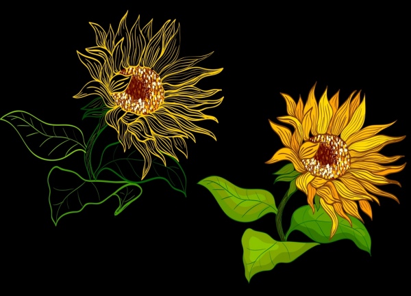 girasoles dibujo diseño de contraste boceto dibujado a mano girasoles dibujo diseño de contraste boceto dibujado a mano