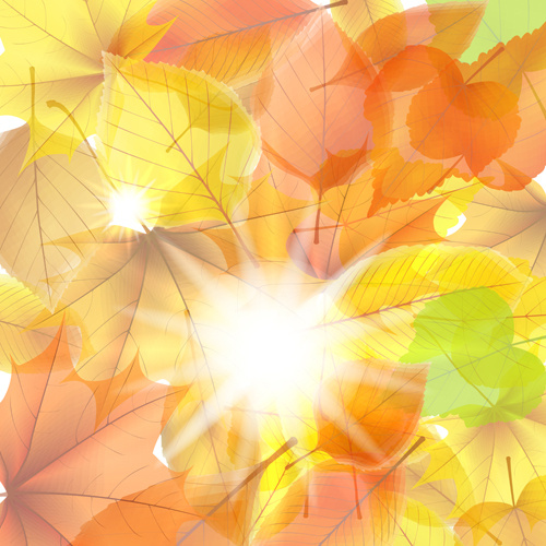 sinar matahari dengan musim gugur daun background grafis