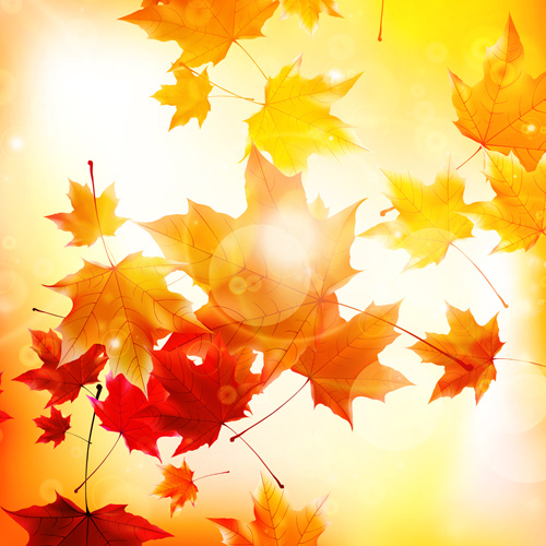sinar matahari dengan musim gugur daun background grafis